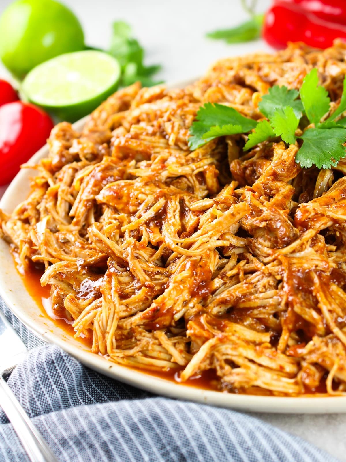 Mexican Shredded Chicken (Instant Pot + Slow Cooker) a close-up photo on a plate.