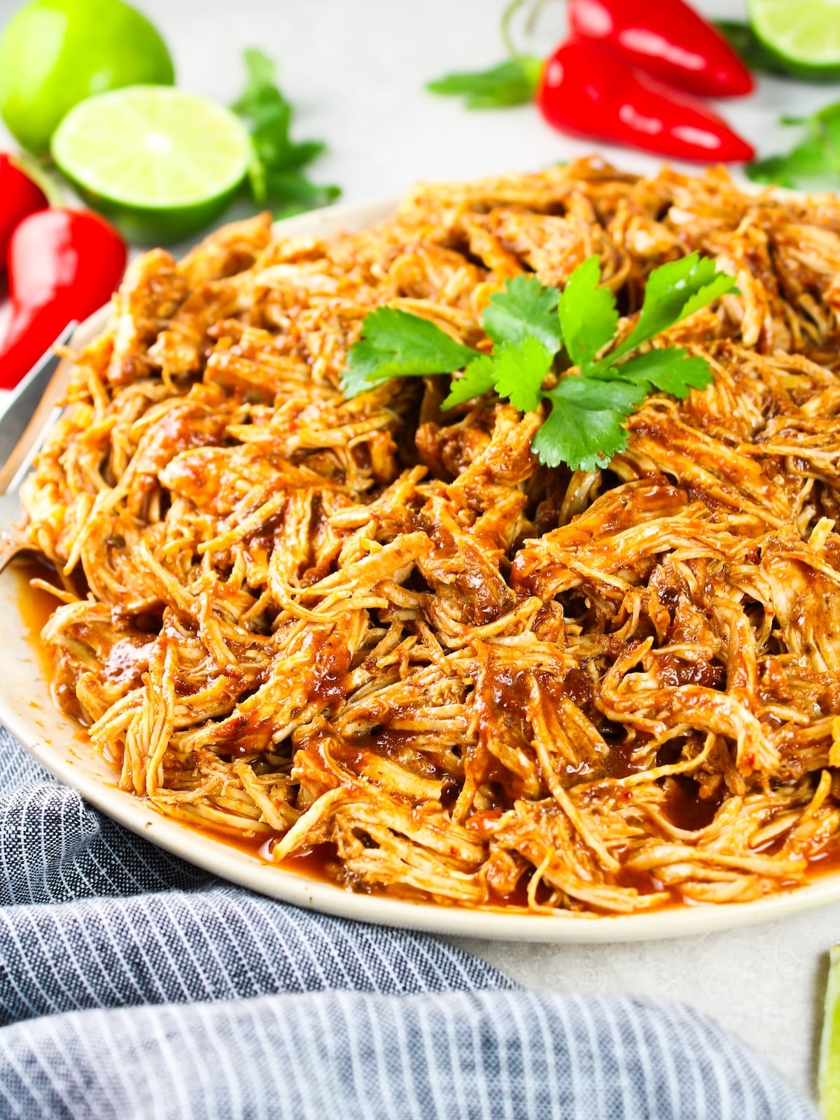Shredded Mexican Chicken (Instant Pot + Slow Cooker) Partial Plate of Chicken table level view.