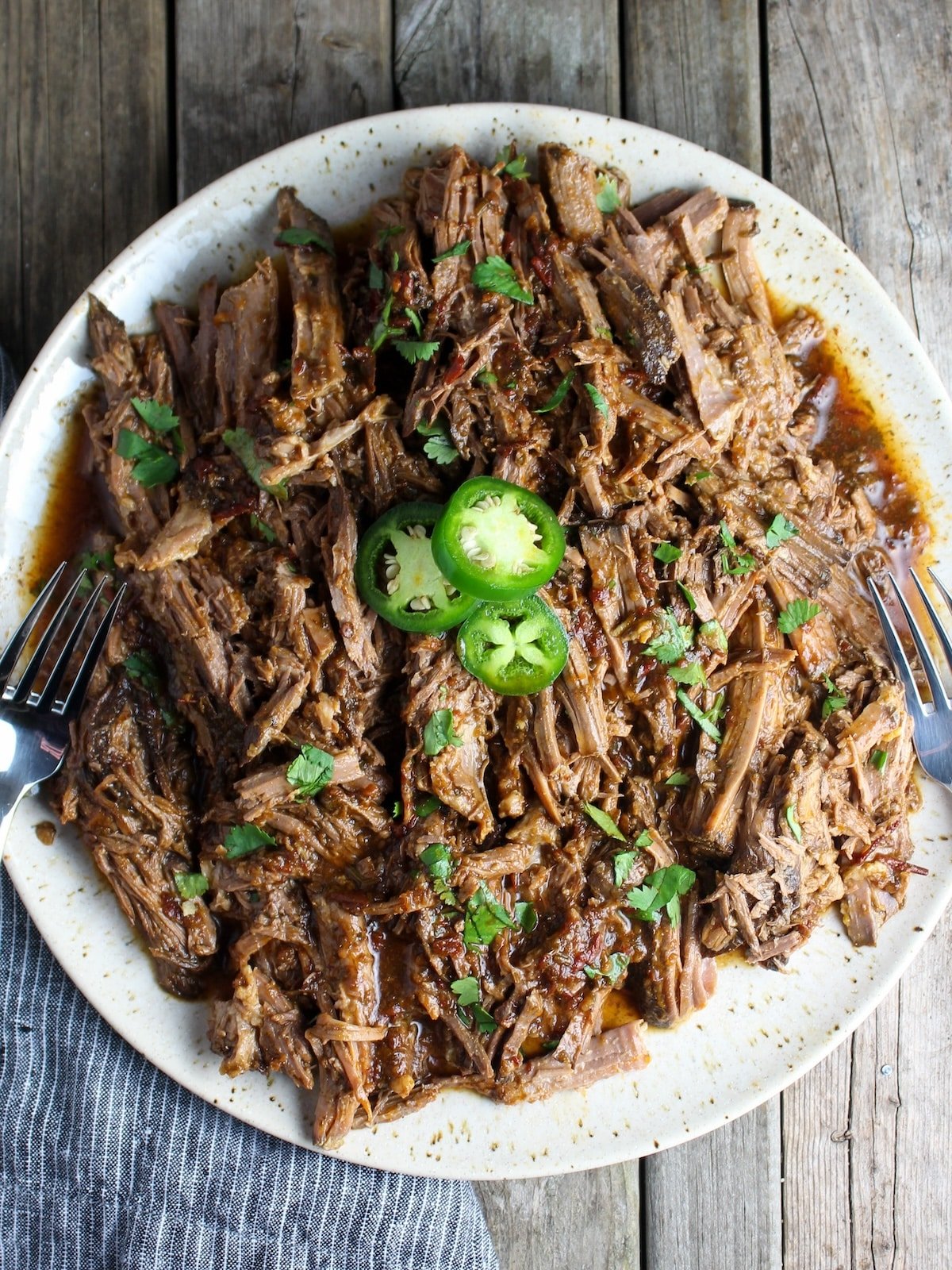 A plate with shredded beef barbacoa.