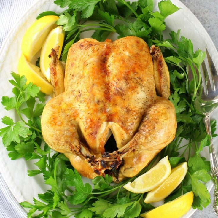 A 1200x1200 photo of an Instant Pot whole chicken cooked and served on a large platter.