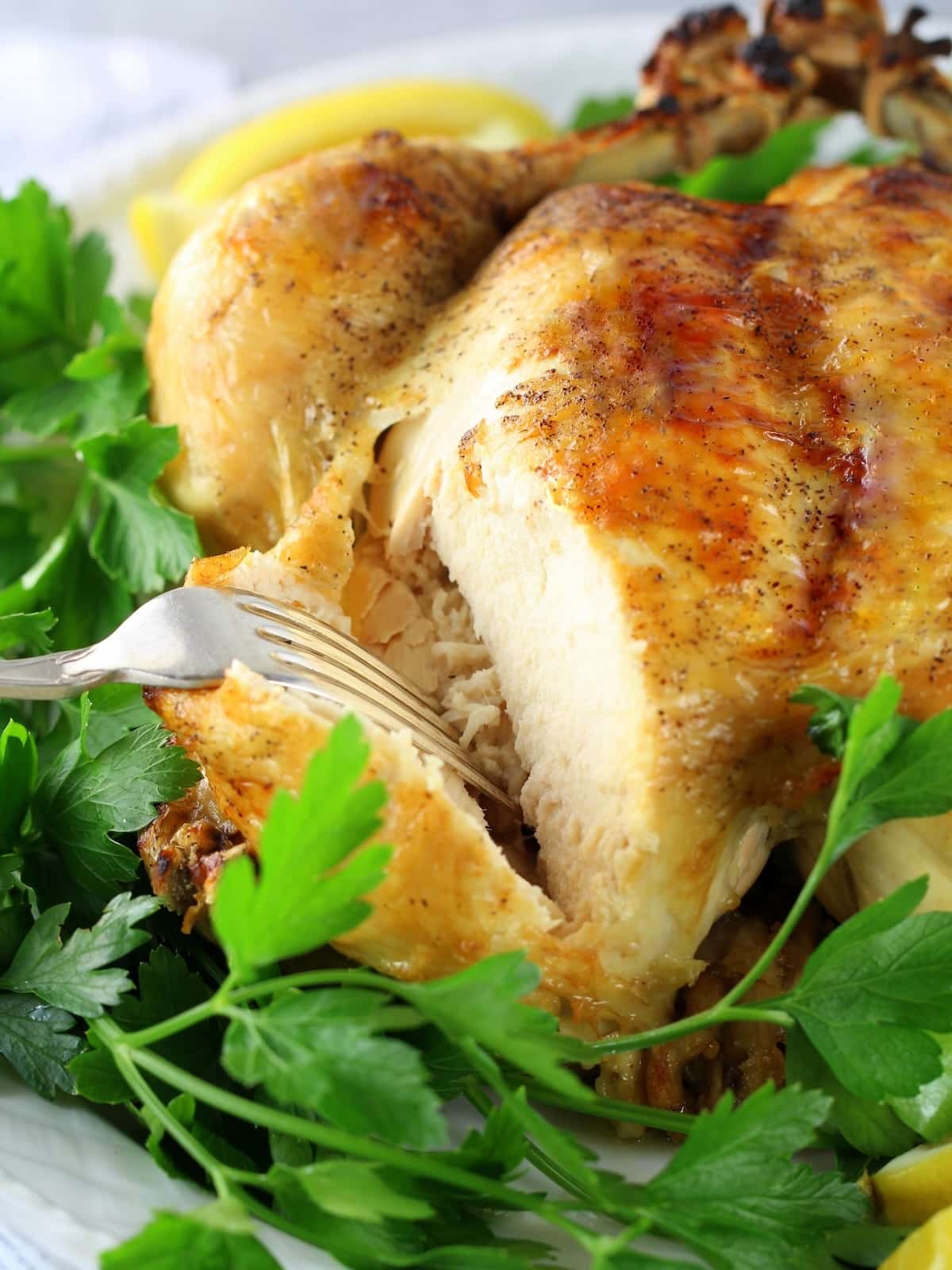 A close-up photo of a cooked roaster chicken cut into.