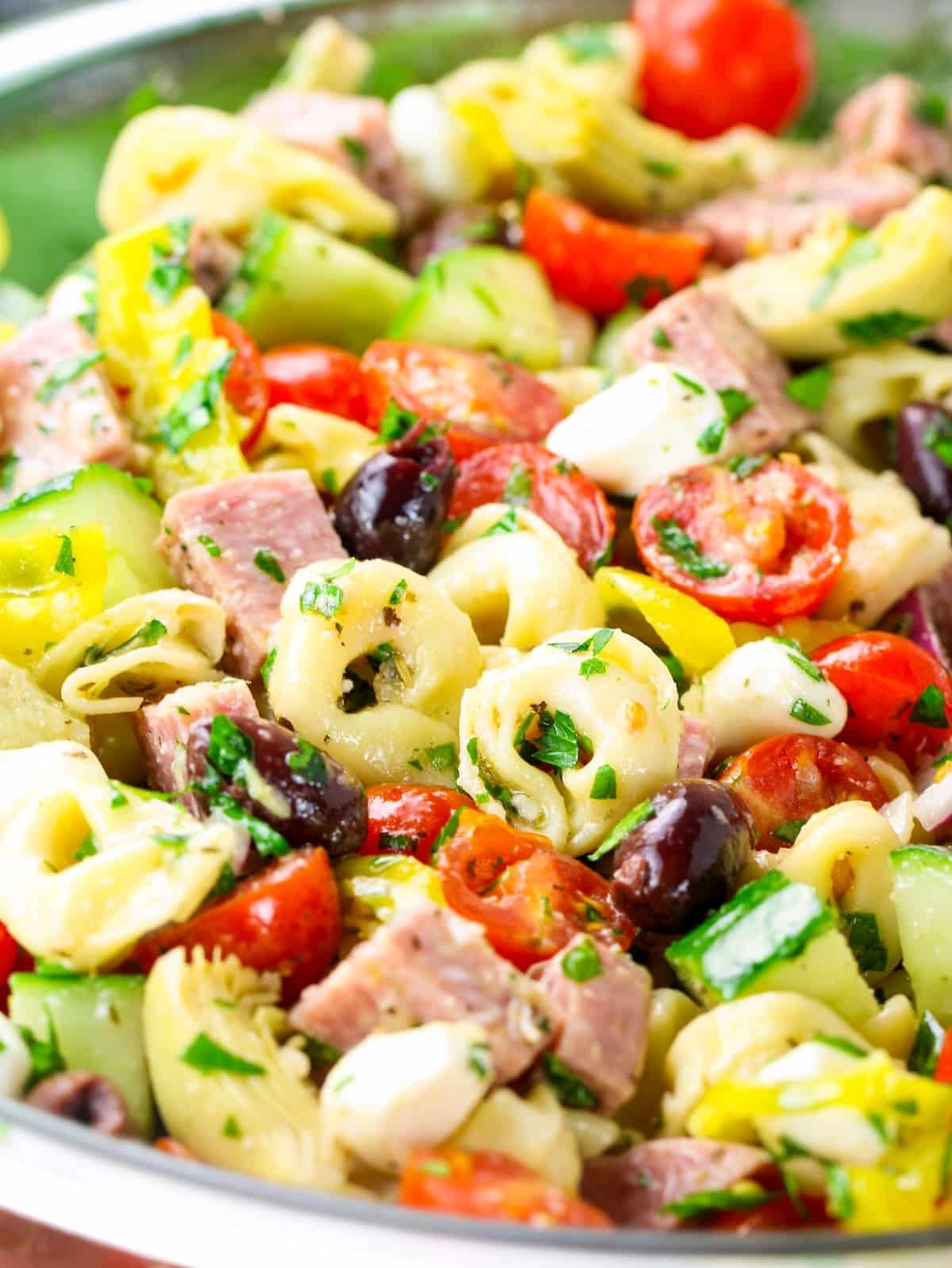 A close-up photo of a tortellini recipe with pasta, veggies, mozzeralla cheese, salami, olives and homemade Italian dressing.