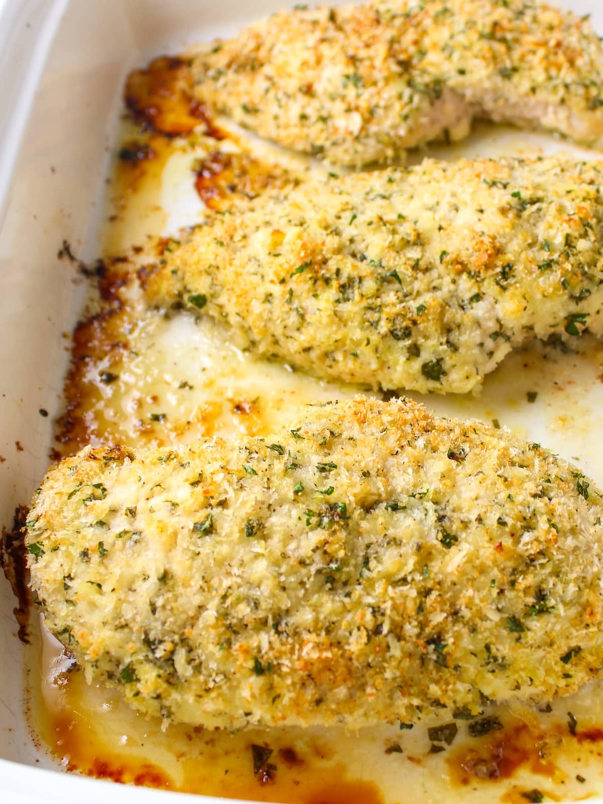 Baked Parmesan crusted chicken breasts in a 9x13 baking dish.
