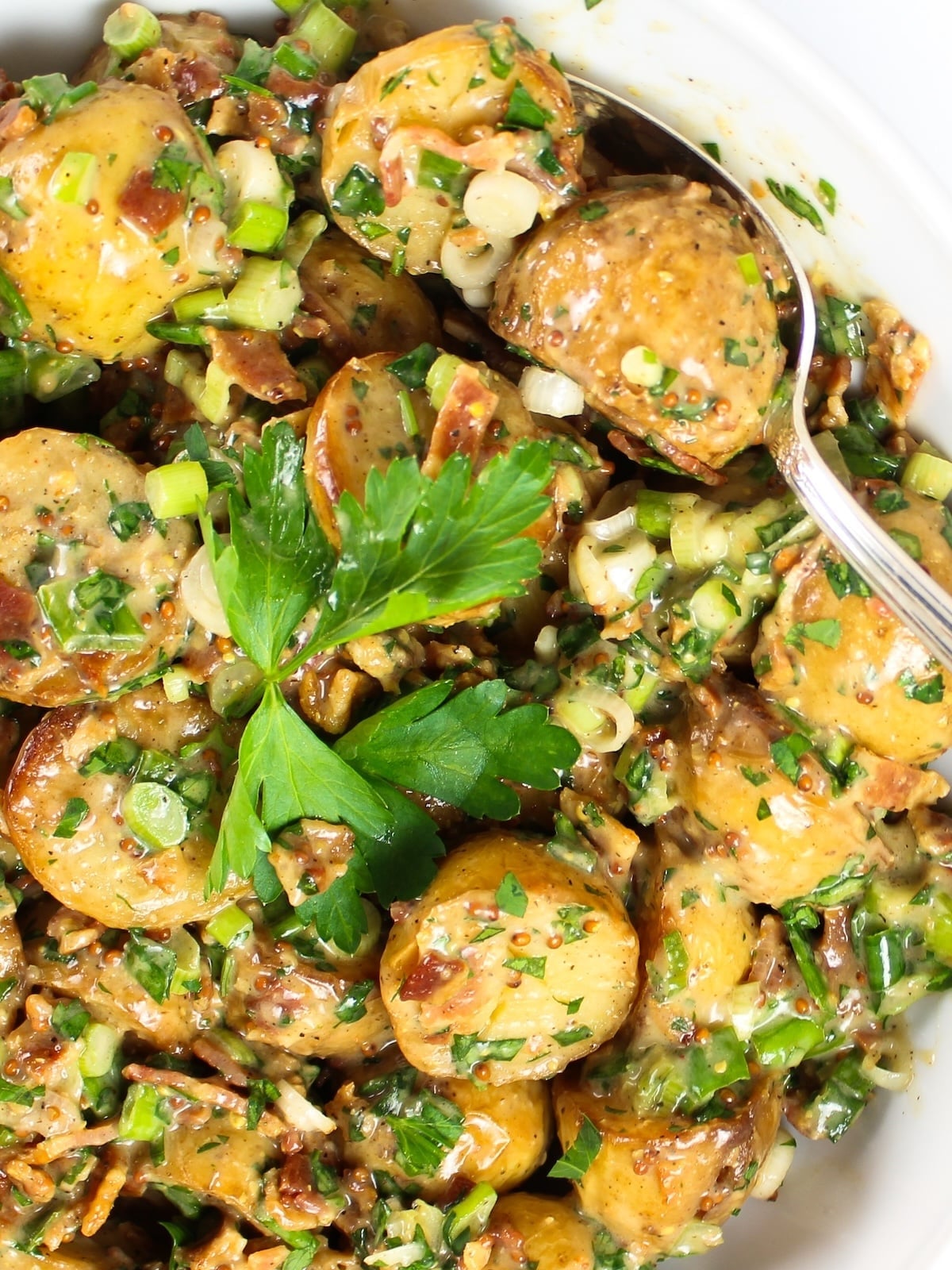 Close-up of salt and vinegar potato salad with bacon, green onions, and parsley
